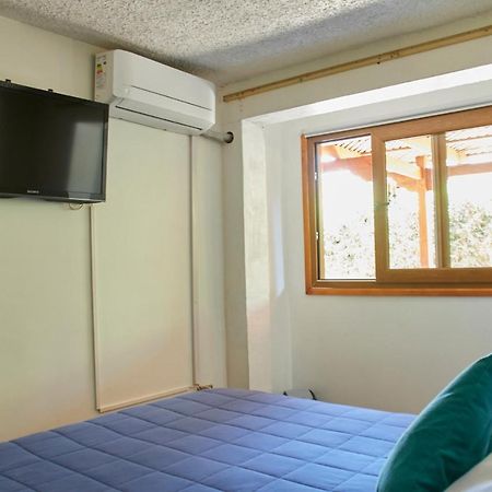 Hostal Aldea Colchagua Experience Santa Cruz Kültér fotó