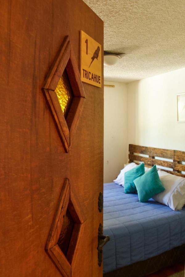 Hostal Aldea Colchagua Experience Santa Cruz Kültér fotó